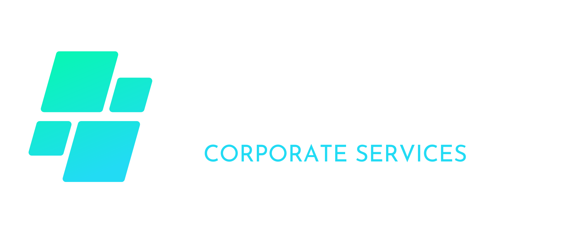 Vacanzy Business Consultant